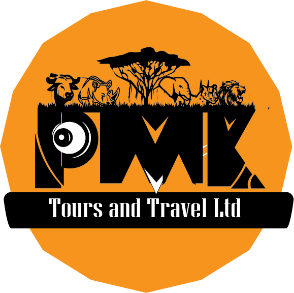 Travel Agent - P.m.k Tours And Travels Ltd